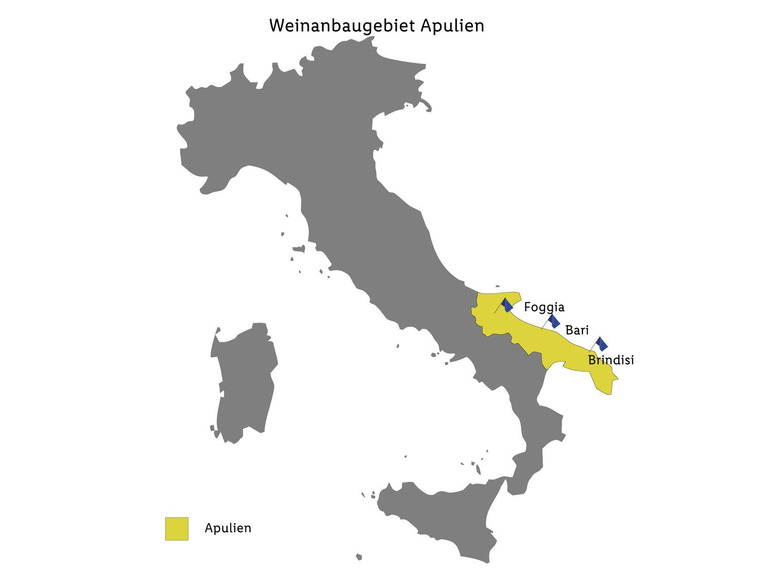 Selone Rosso Puglia IGP halbtrocken, Rotwein 2023 Blitzverkäufe