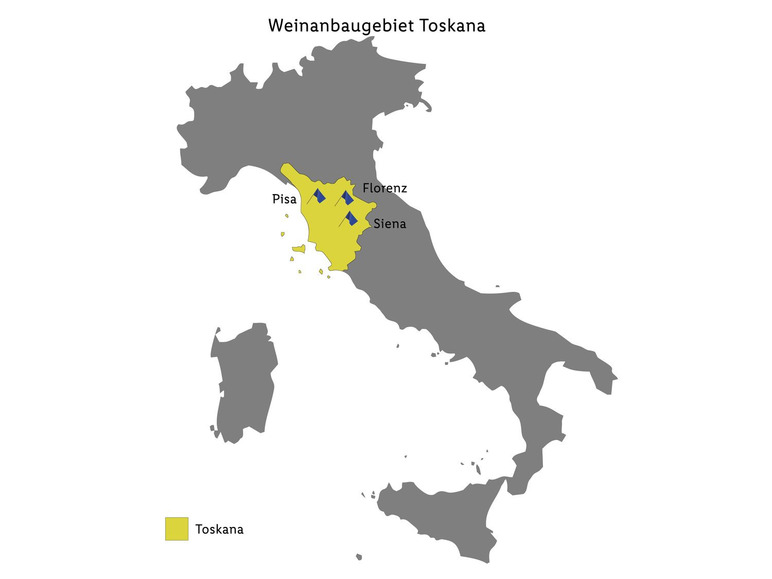 Chianti DOCG trocken Magnum, Rotwein 2022 Fabrikpreis