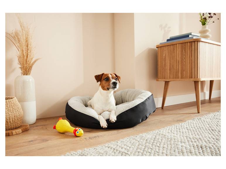 zoofari® Hundebett, mit kuscheligem Plüsch Sonderangebot