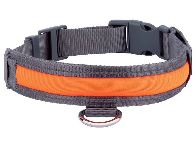 zoofari® Hundehalsband, mit LED Exklusivangebot