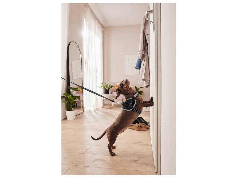 zoofari® Hundegeschirr, mit Klettstickern Preisnachlass