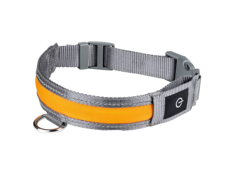 zoofari® LED-Hundeleuchtband, mit wiederaufladbarem Akku Lagerräumung