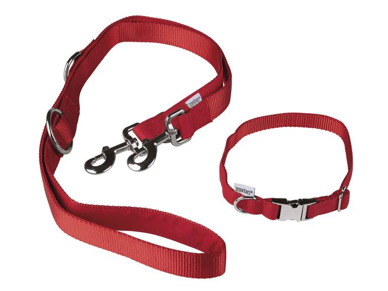 zoofari® Hundehalsband mit Hundeleine Exklusive Angebote