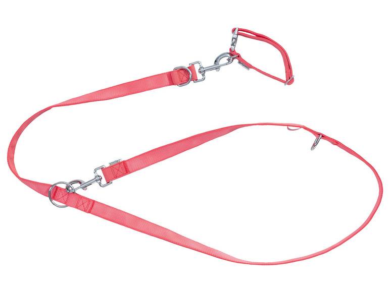 zoofari® Hundehalsband und Hundeleine Große Rabatte