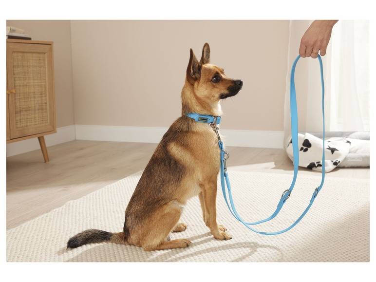 zoofari® Hundehalsband und Leine, 3-fach verstellbar Bestseller