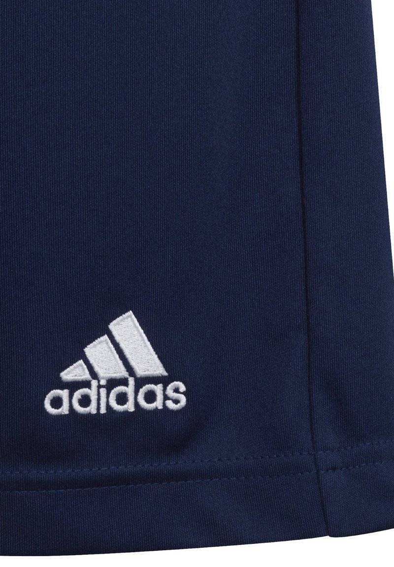 adidas Performance adidas Performance ENTRADA - Sports shorts - blue Exklusivangebot