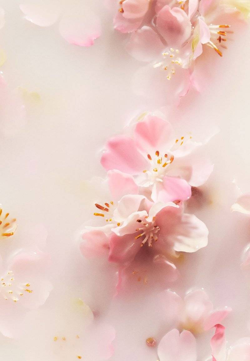 Rituals Rituals ANTI-PERSPIRANT SPRAY TRAVEL SIZE THE RITUAL OF SAKURA - FLORAL - CHERRY BLOSSOM & RICE MILK - Deodorant Top Angebot