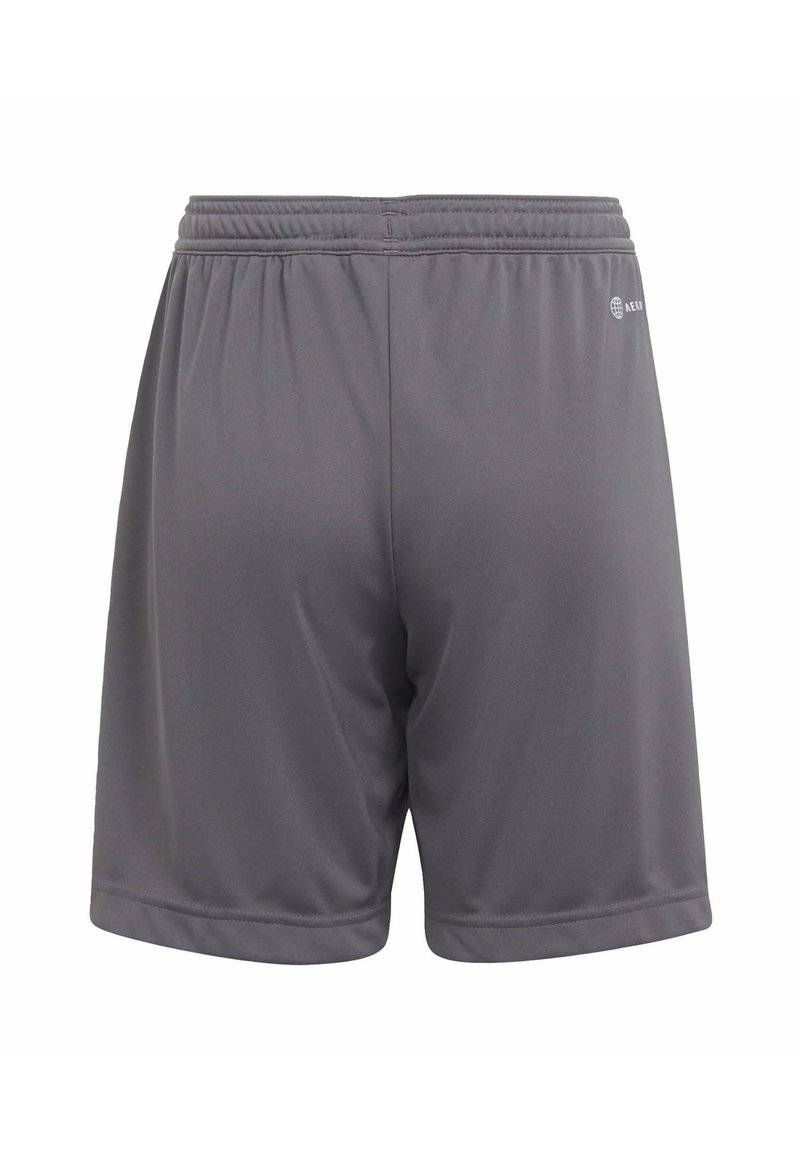 adidas Performance adidas Performance ENTRADA - Sports shorts - grey Günstig kaufen