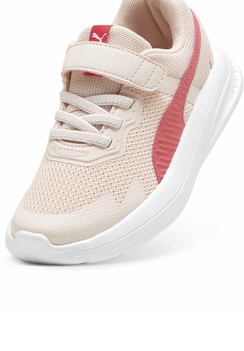Puma Puma EVOLVE - Stability running shoes - island pink white tart cherry Versandkostenfrei