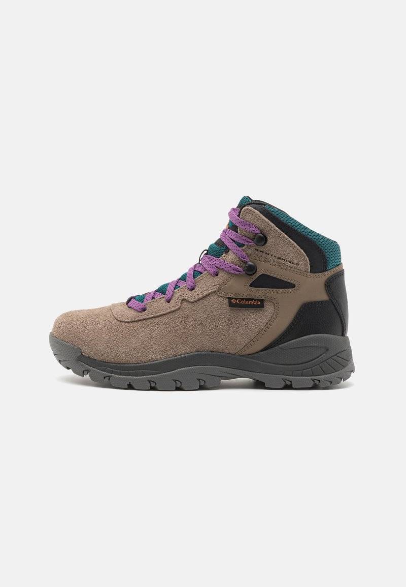 Columbia Columbia NEWTON RIDGE - Hiking shoes Kostenloser Versand international