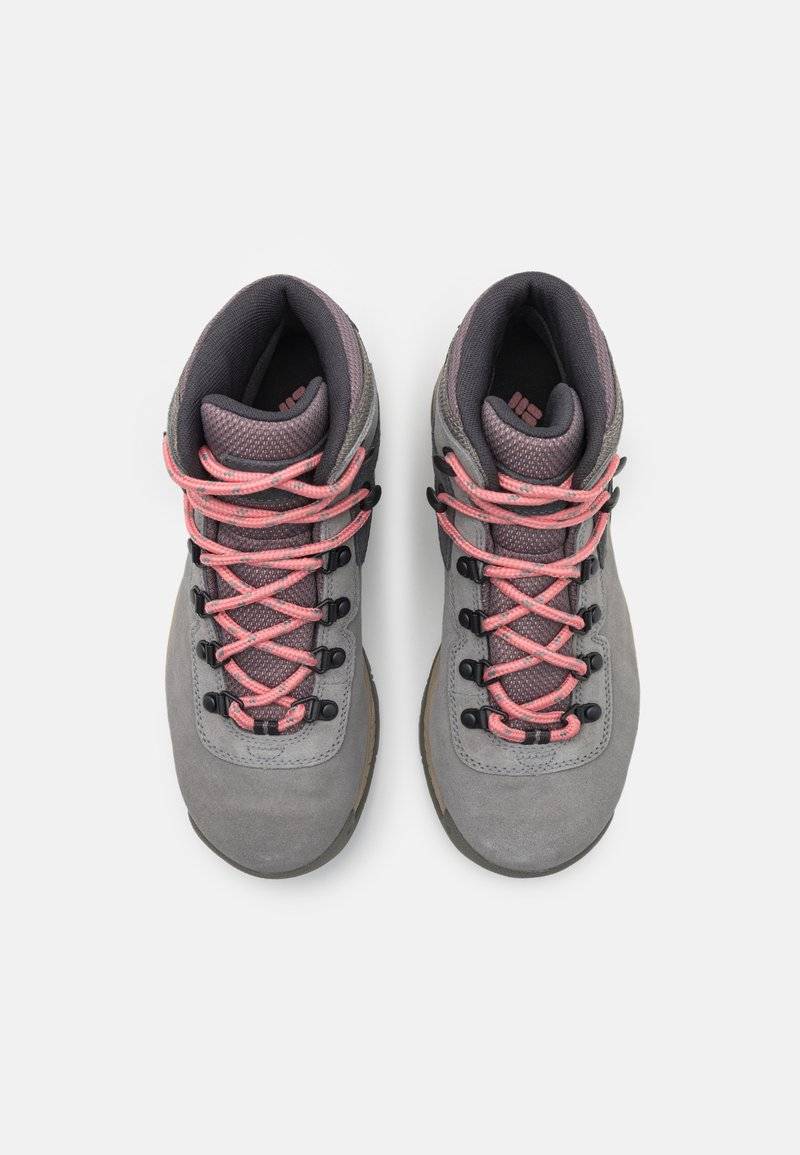 Columbia Columbia NEWTON RIDGE PLUS WATERPROOF AMPED - Hiking shoes Günstiger Verkauf
