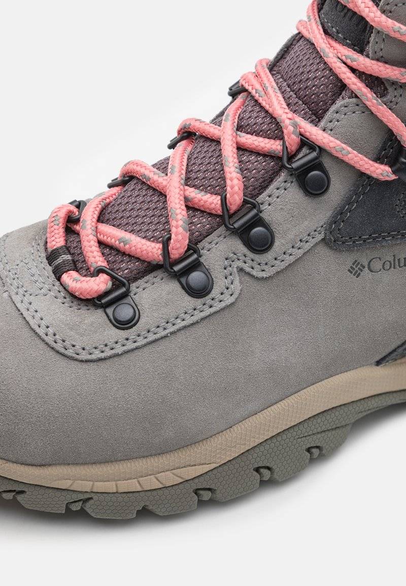 Columbia Columbia NEWTON RIDGE PLUS WATERPROOF AMPED - Hiking shoes Günstiger Verkauf